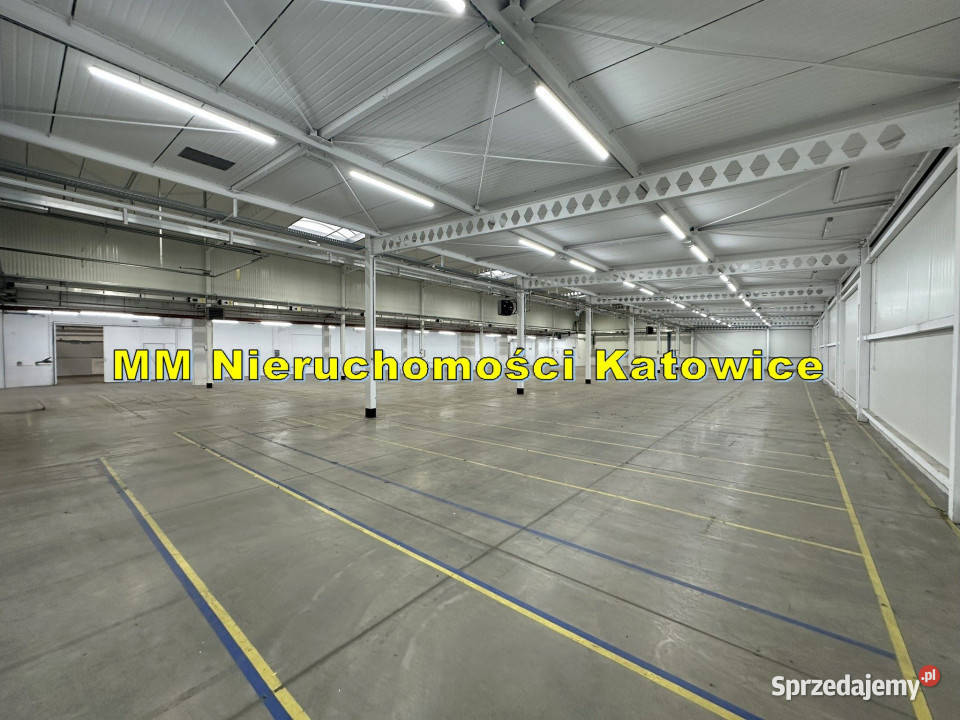Magazyn do wynajęcia Katowice centrum ogrzewanie Wynajem