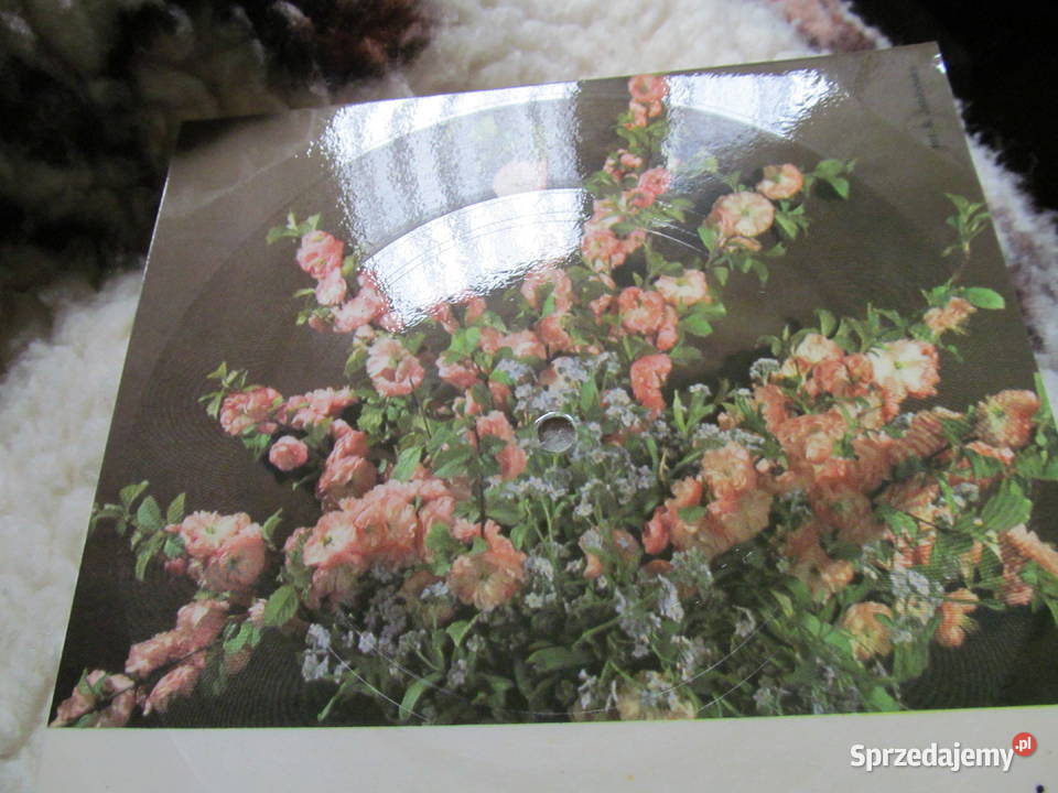 John Lennon WATCHING THE WHEELS nowa płyta winylowa