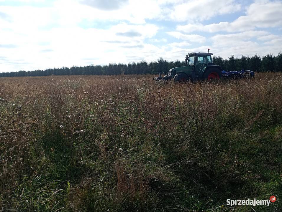 Oranie uprawa uslugi rolnicze przysucha Przytyk mazowieckie Rusinów