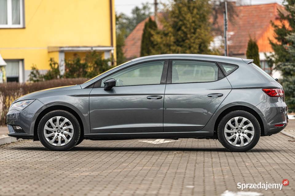 SEAN LEON szary Zalesie