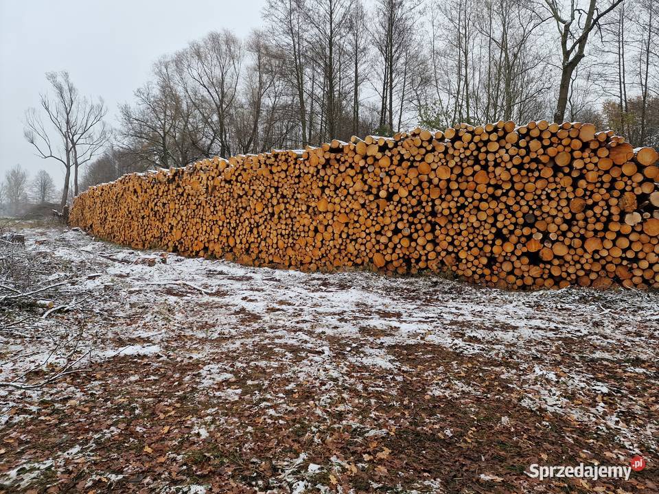 WYCINKA DRZEW ODKUP DREWNA DOKUMENTACJA Woodfast Legnica