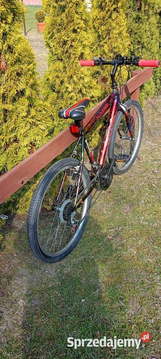 Rower młodzieżowy 24 Dziecięce