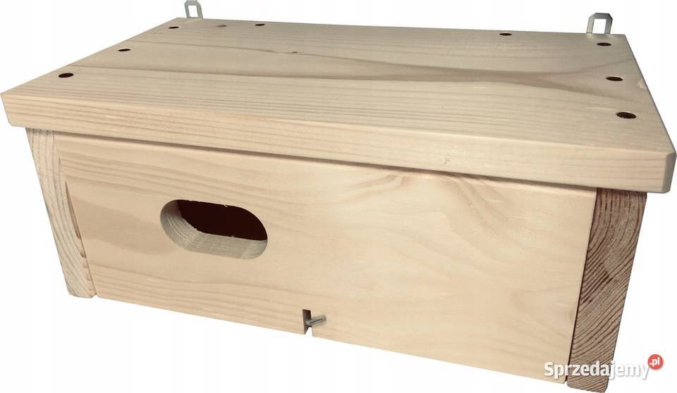 Budki lęgowe budka lęgowa ptaków jerzyków Pozostałe zachodniopomorskie Sławno