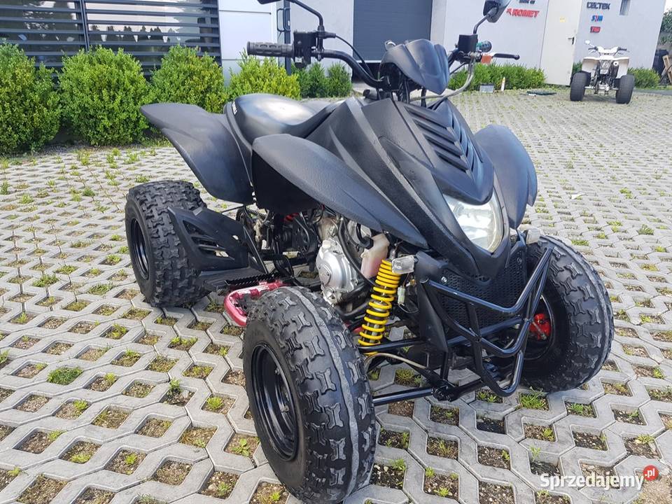 DINLI 300 HomologacjaSERWIS DOSTAWA