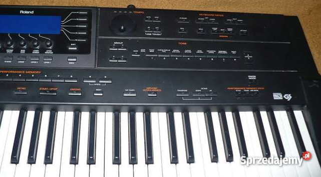 ROLAND G 800 Skierniewice