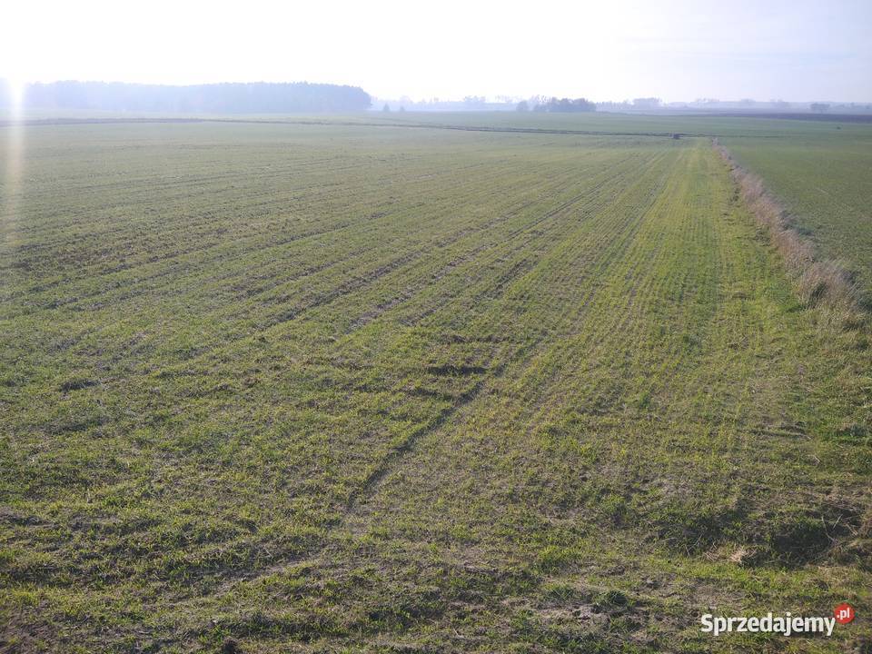 Dwie działki z warunkami zabudowy Sprzedaż sprzedam