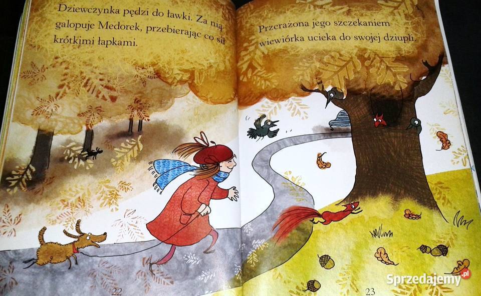 Zuzia i piesek w kratkę Pierwsze czytanki Irena lubelskie Chełm