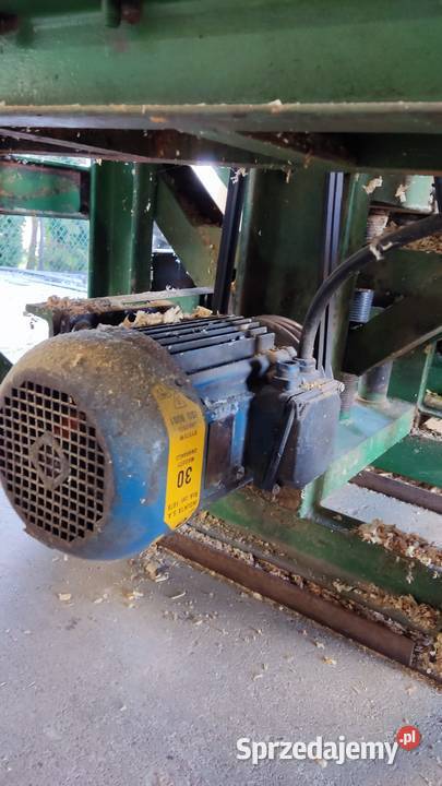 Grubościówka heblarka Chomęciska Duże