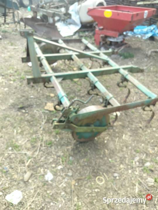 Kurtywator Grudziadz zebow 14 Miłochniewice