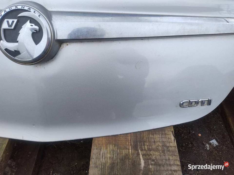 KLAPA BAGAŻNIKA SZYBA TYŁ Z176 OPEL INSIGNIA A