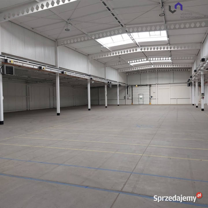 wynajmu lokalu 1242m2 Katowice przemysłowy śląskie sprzedam