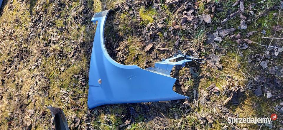 Błotnik Prawy Lewy Punto 2 FL małopolskie Żabno
