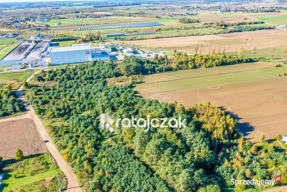 Sprzedam grunt Łebcz Polna 1184m2 1184m2 Sprzedaż