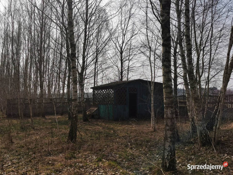 sprzedaży działki 9196m2 Bilew