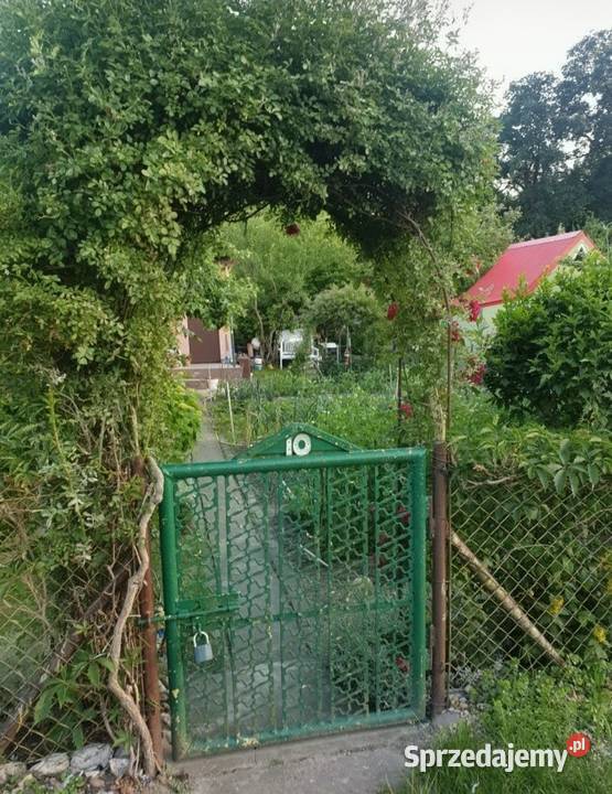 Działka ROD Bolesławiec woda dolnośląskie
