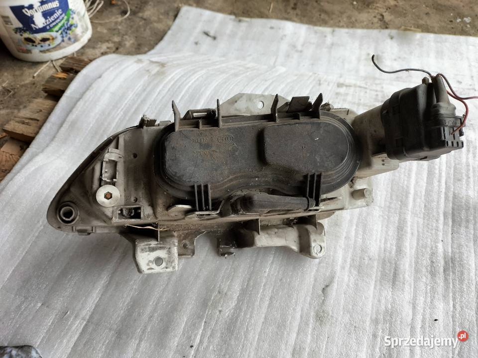 renault Laguna I 1 LAMPA PRZÓD PRZEDNIA PRAWA Kamień-Kolonia sprzedam