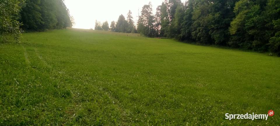ZAKOPANE GLAMPINGPiękna działka widokowa u stóp 60m sprzedam