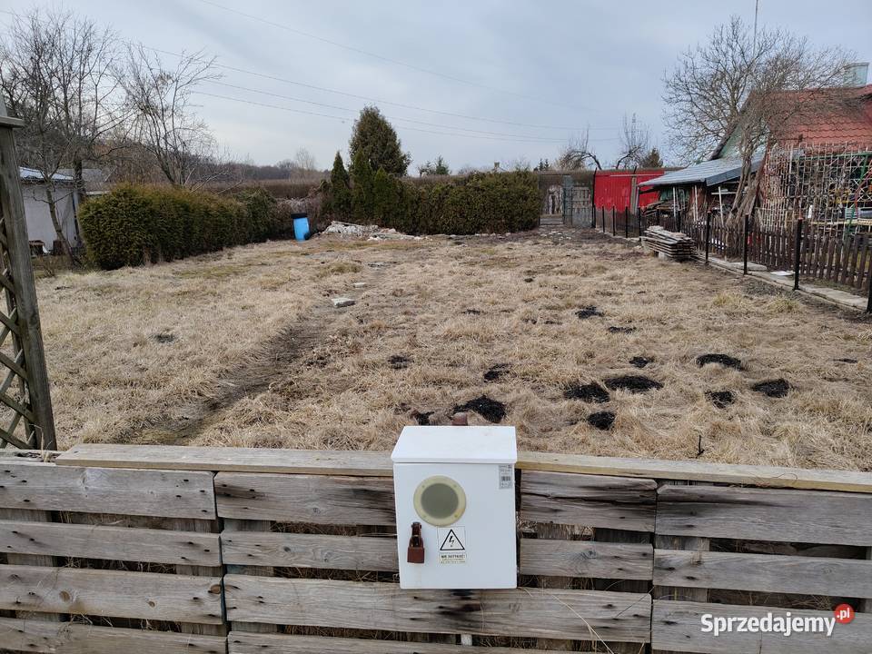 Działka ROD Parkiem w Pile 42zł/m2