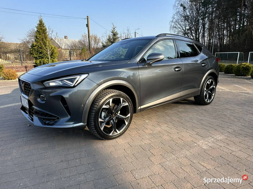 Cupra Formentor lakier metallic Lipówki