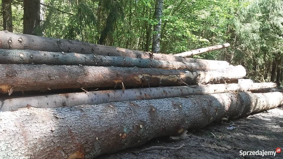 Drzewo tartaczne Drewno Tarcica Dłużyca Kłody Materiały budowlane Gródek sprzedam
