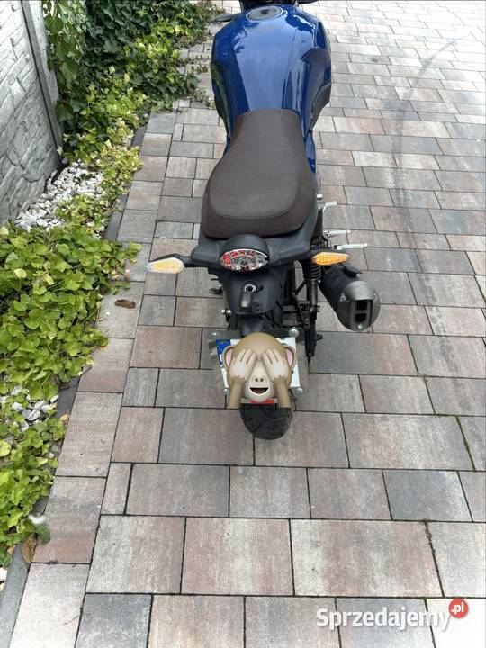 Motocykl Zipp Caf Kinden 125 niebieski Zipp Jarosław