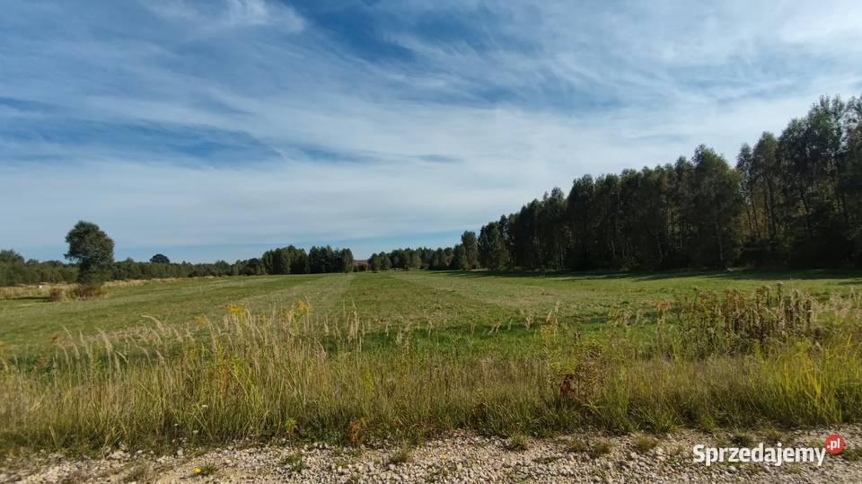 Wydźierżawie teren inwestycyjny Rudnik Wielki