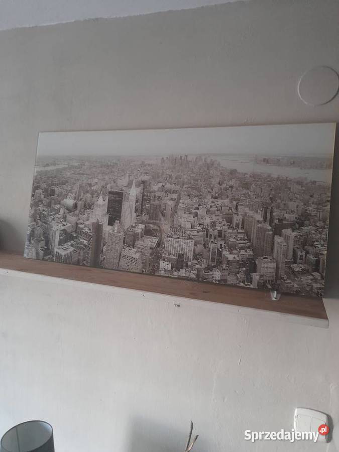 Obraz York