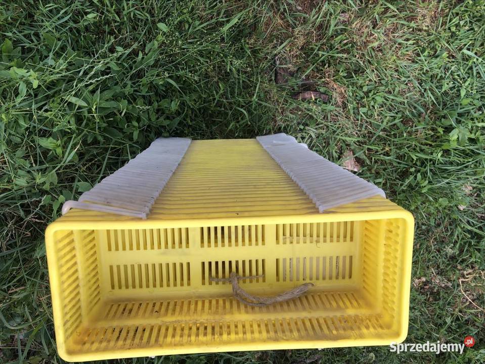 Łubianki na truskawki Wyśmierzyce