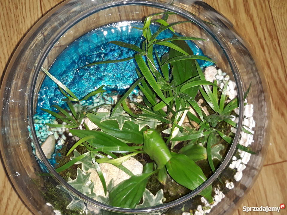 Las w szkle Rajska Wyspa Gdańsk