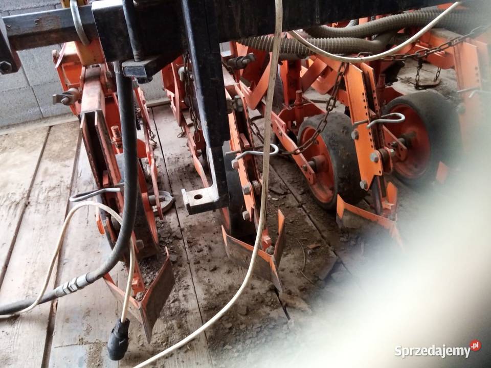 Siewnik do cebuli rzotkwi itd Nysa sprzedam