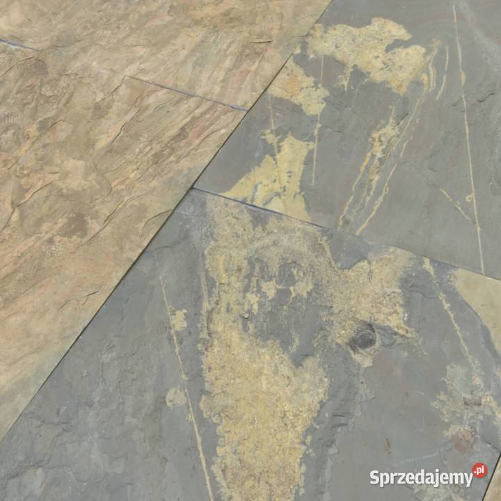 Płytki Łupek California Gold naturalny 60x30x12 Płytki elewacyjne sprzedam