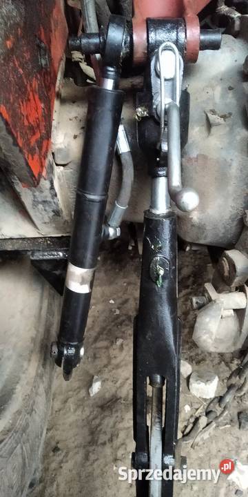 Ursus 2812351245124514 MF255MF 255 Bychawa sprzedam