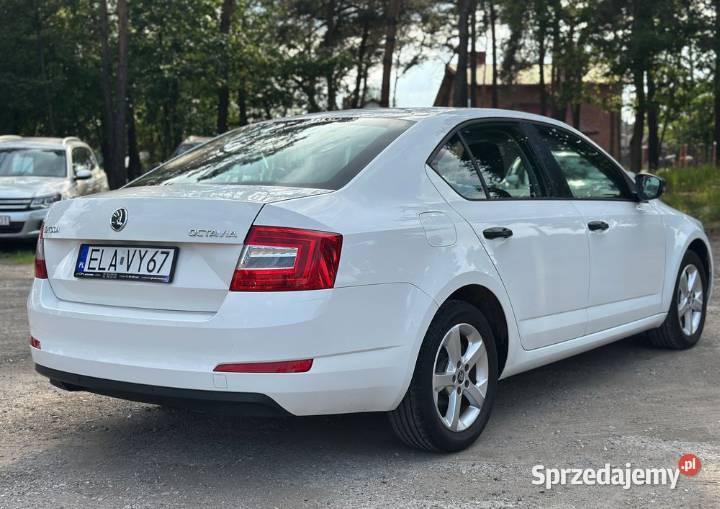 Skoda Octavia 12 nieuszkodzony Łask