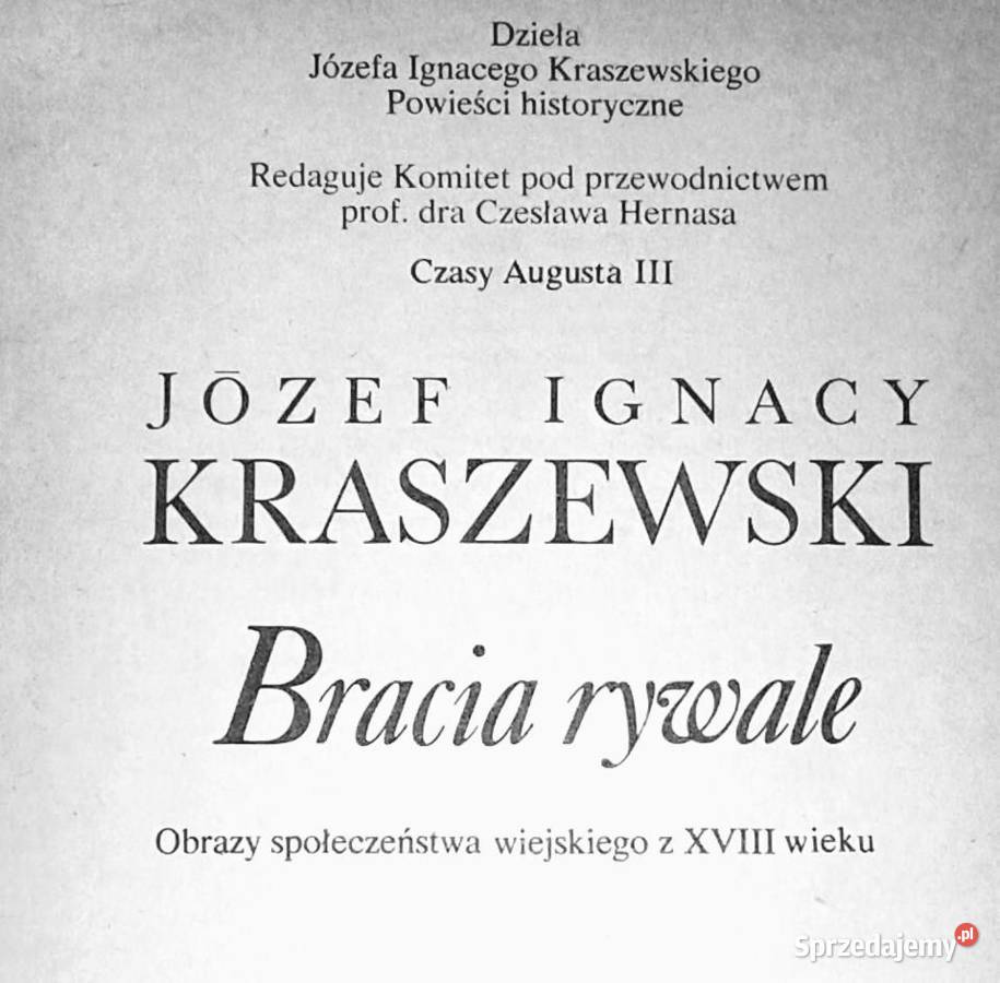 Bracia rywale Józef Ignacy Kraszewski miękka Chełm