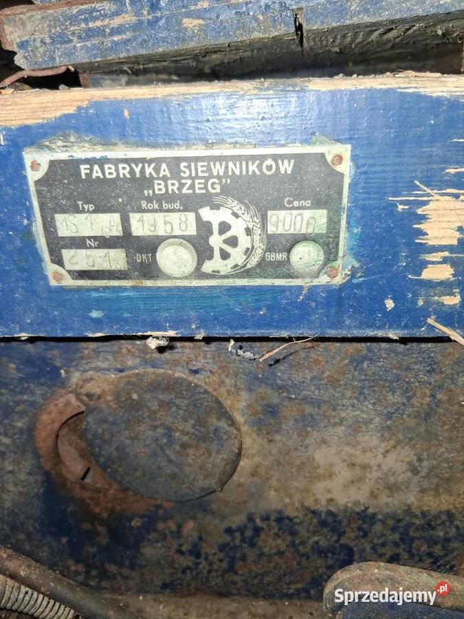Szerokomłotka Pozostałe Dolistowo Nowe