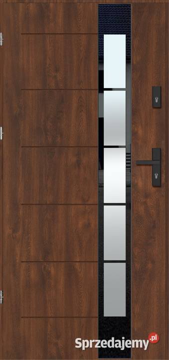 THERMO TEMPER GLASS 2 Nowe Drzwi zewnętrzne Częstochowa sprzedam