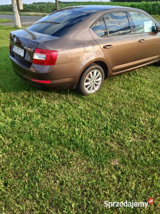 Skoda Octavia 1400cm3 wielkopolskie Blizanów
