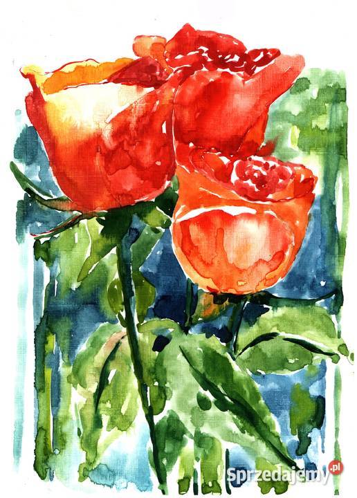 OBRAZ akwarela KWIATY Gryfów Śląski