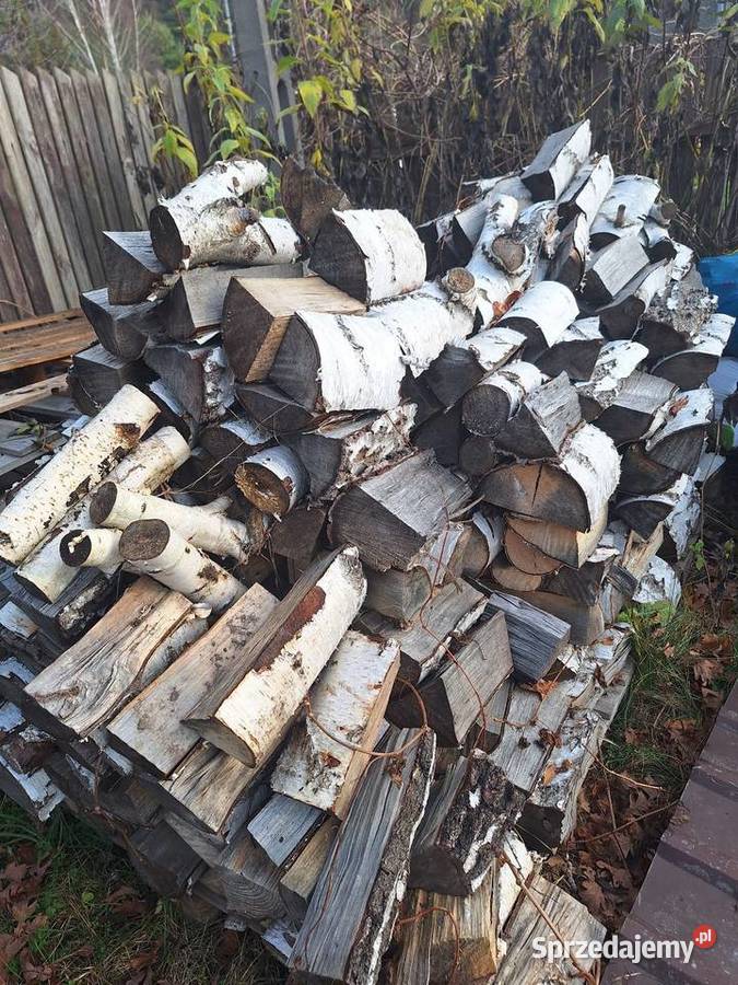 Drewno brzoza rąbana Białystok