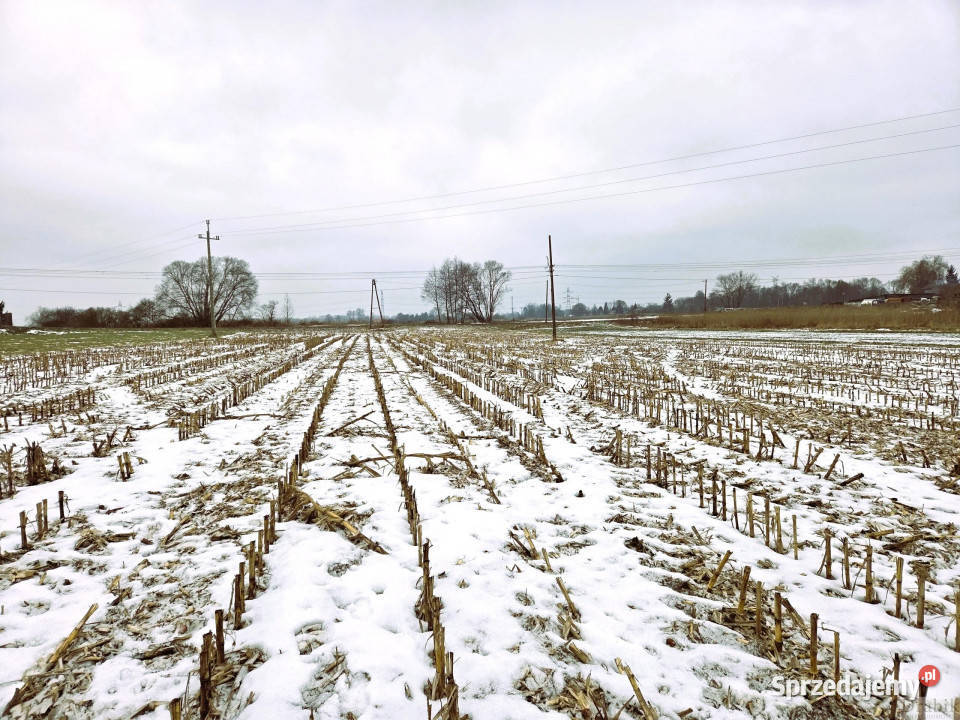 sprzedaży działki 2341m2 Spytkowice Górki Sprzedaż sprzedam