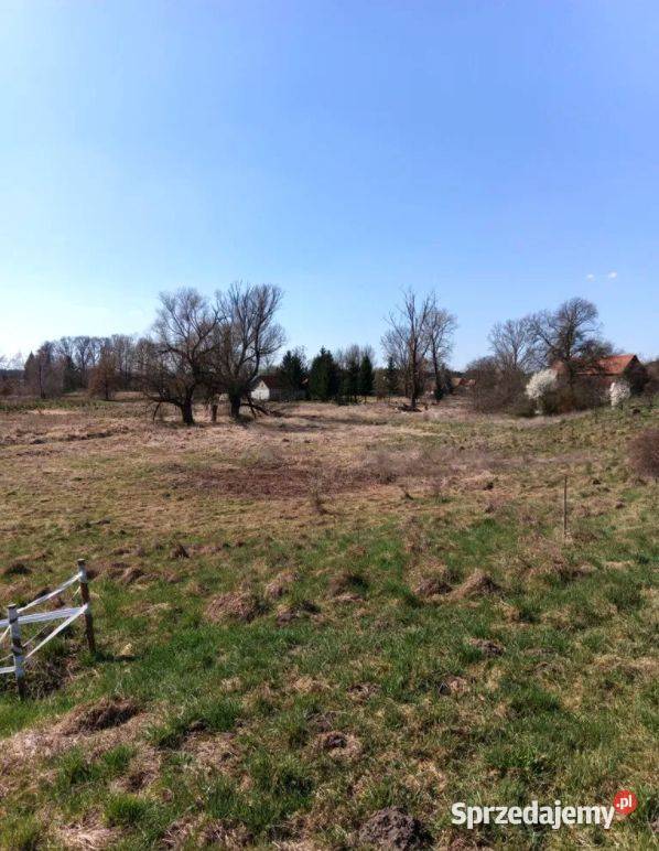 Działka z linią brzegową 130 m Brzeźnica sprzedam