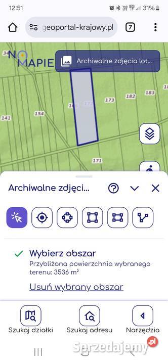 Sprzedam las w Chodlu Kraśnik