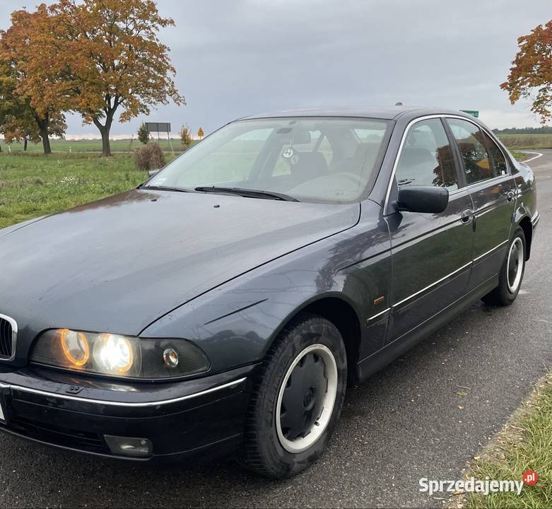 E39 i E46 Suchań