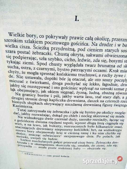 Byli i będą Rodziewiczówna książki outlet Warszawa