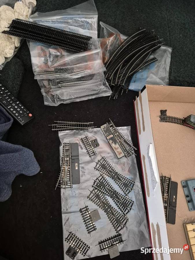 Koleja TT wagonik lokomotywa Malarstwo wielkopolskie Siekierki Wielkie