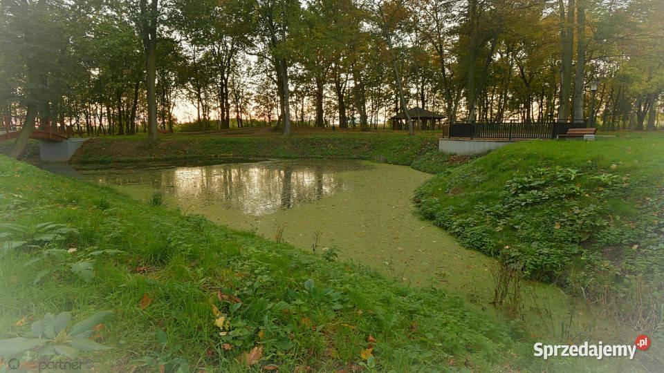 Mieszkanie Pietrzykowice 90m2 3 pok