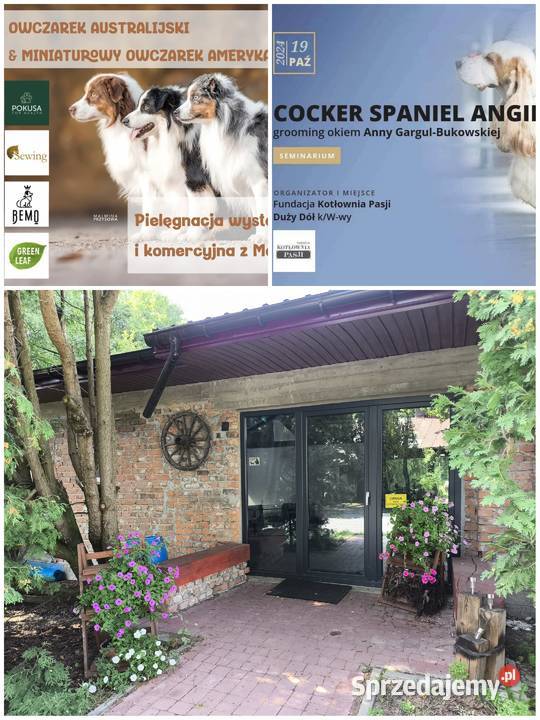 Szkolenie GROOMERÓW pod Wwą Duży Dół