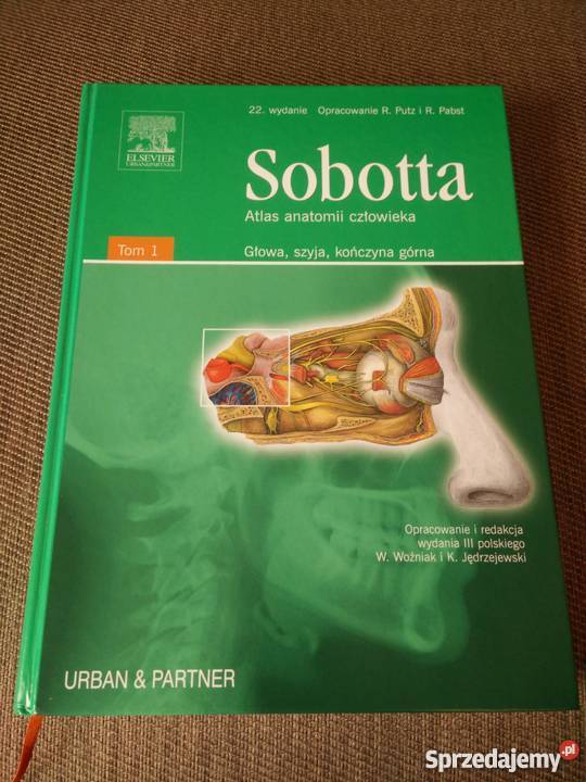 ATLAS ANATOMII CZŁOWIEKA CZĘŚĆ 1 GŁOWA SZYJA Zielona Góra