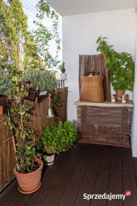 2poziomowe mieszkanie na sprzedaż Bstok Leśna Liczba pokoi 5 podlaskie Białystok