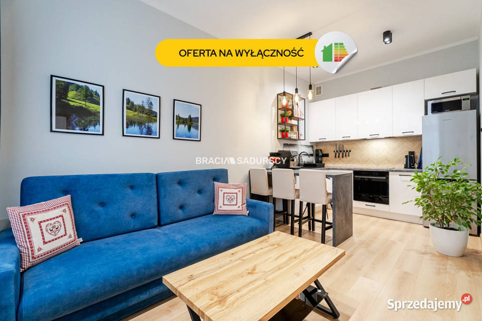 Mieszkanie 338m 2 pokojowe Kraków Sprzedaż małopolskie
